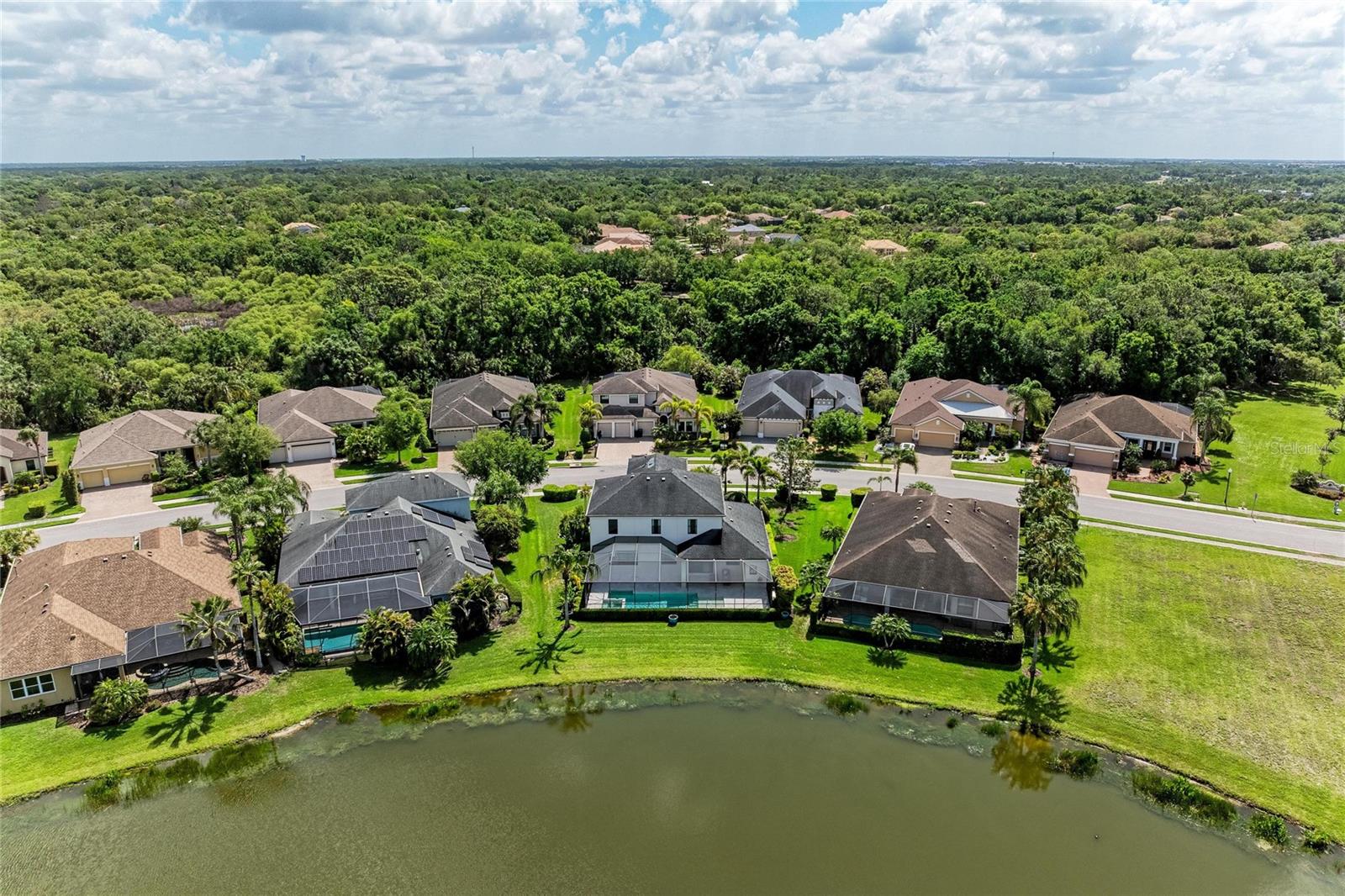 Image 67 of 94 For 826 Honeyflower Loop