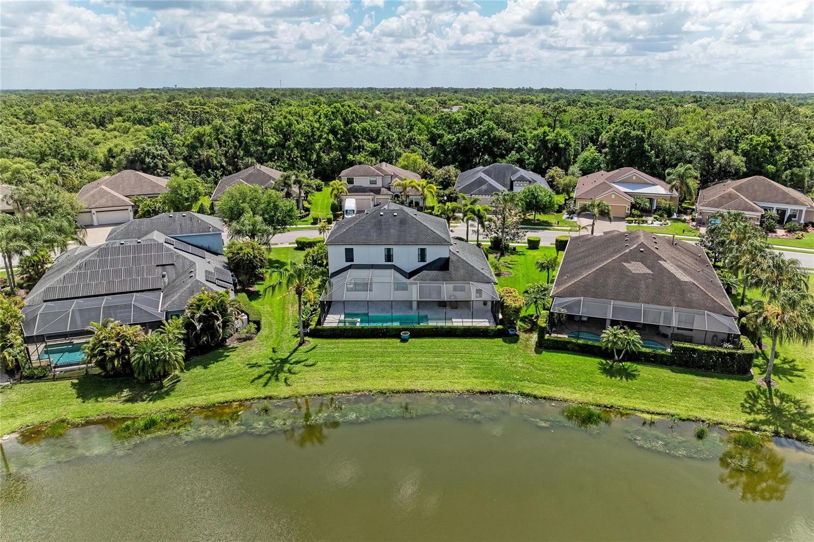 Image 7 of 94 For 826 Honeyflower Loop