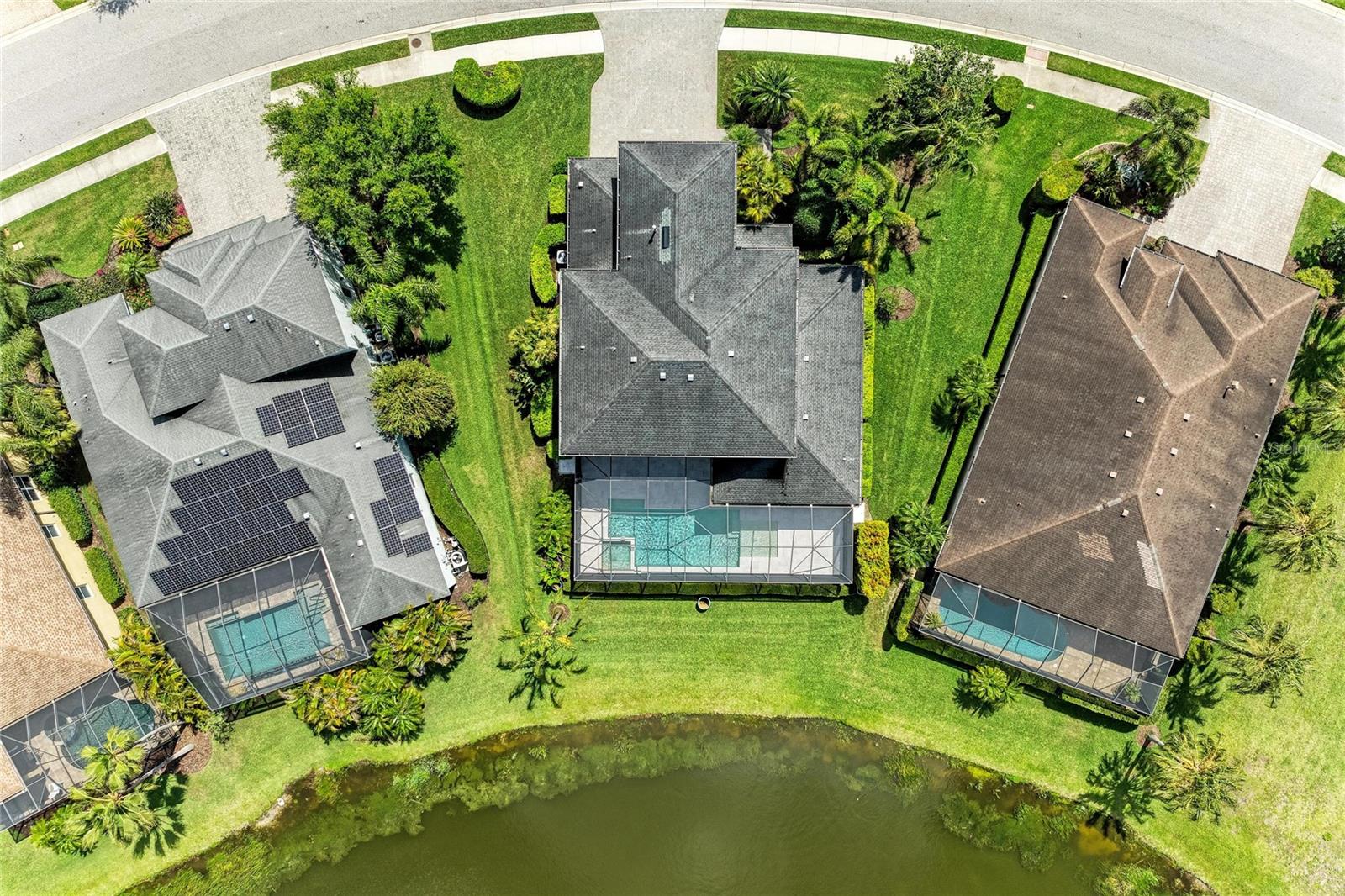 Image 70 of 94 For 826 Honeyflower Loop