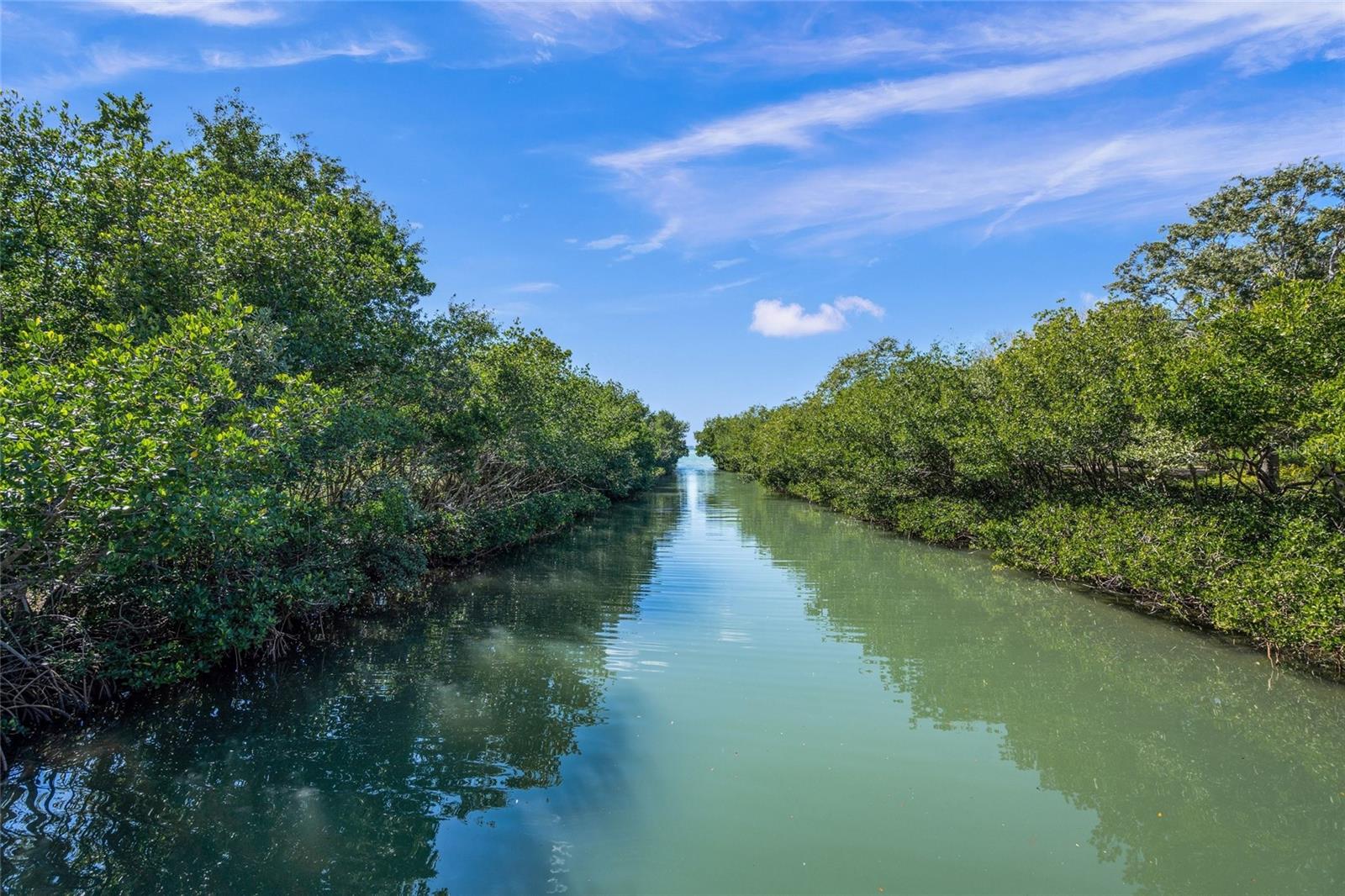 Image 53 of 98 For 459 Wingfield Drive