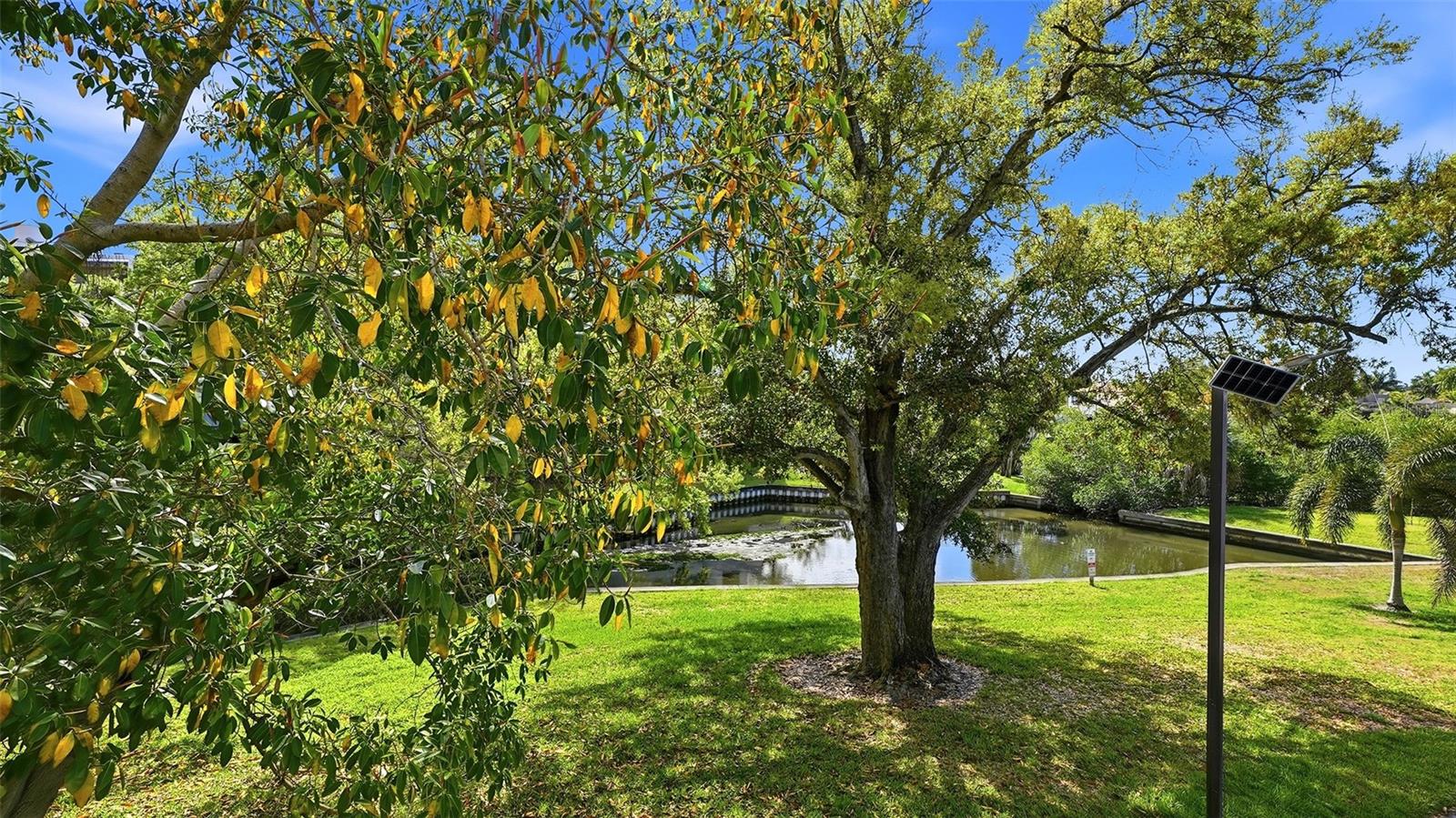 Image 25 of 33 For 825 Osprey Avenue 101