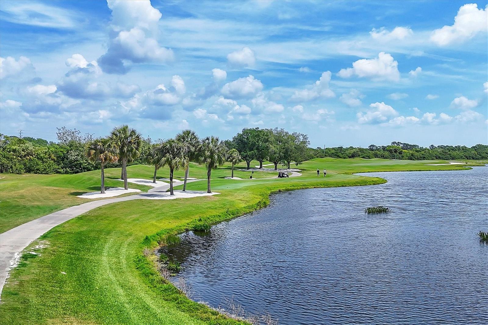 Image 50 of 72 For 4501 Murcia Boulevard 7