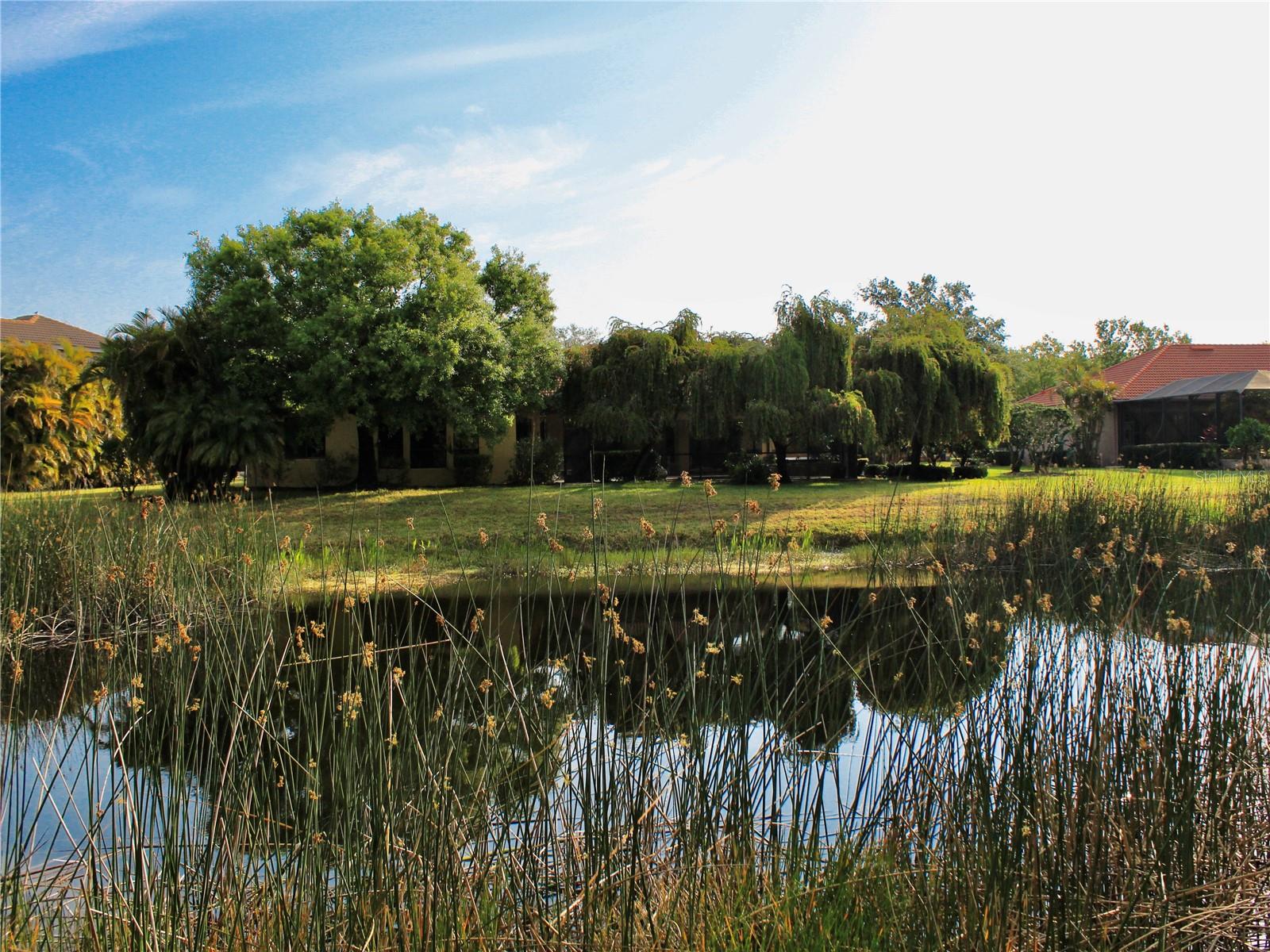 Image 4 of 84 For 406 Petrel Trail