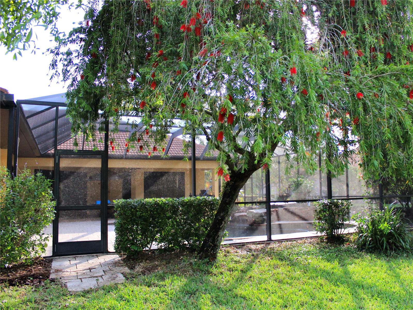 Image 68 of 84 For 406 Petrel Trail