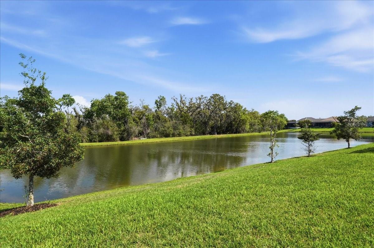 Image 36 of 64 For 3511 Azurite Way