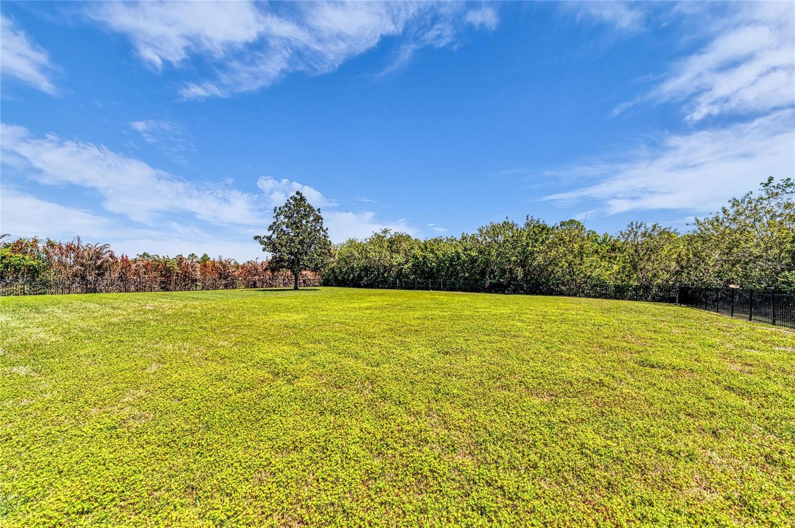 Image 80 of 93 For 22805 Night Heron Way