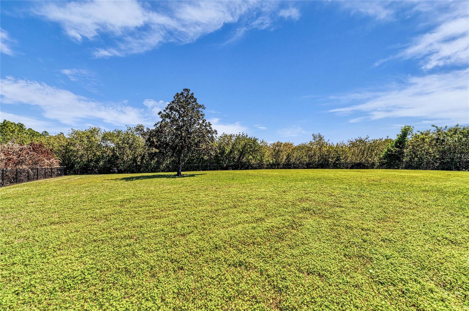 Image 81 of 93 For 22805 Night Heron Way