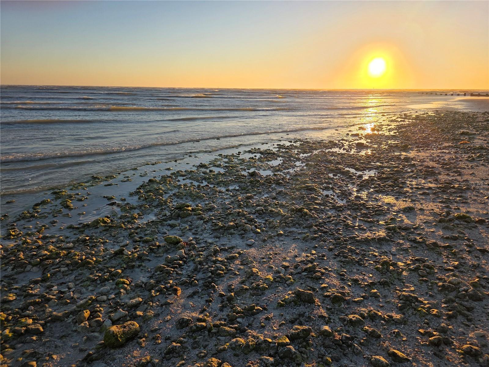 Image 34 of 39 For 2566 Gary Circle 5