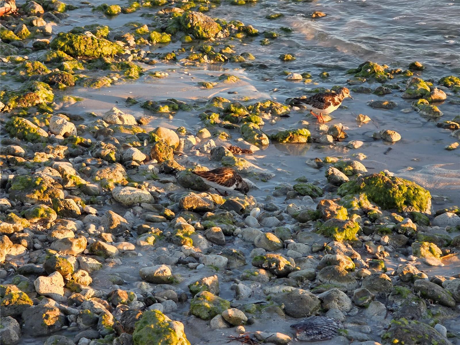 Image 35 of 39 For 2566 Gary Circle 5