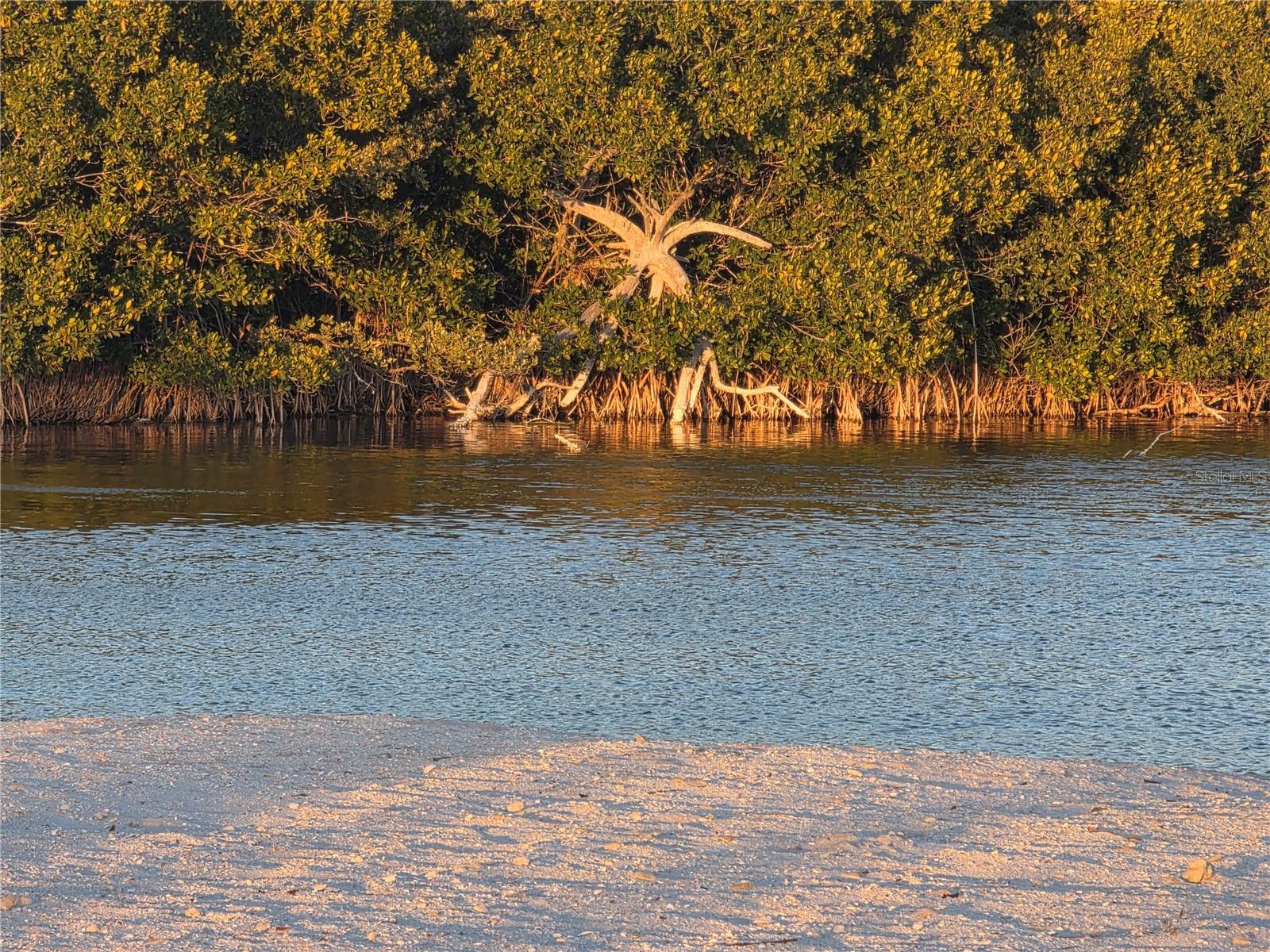 Image 36 of 39 For 2566 Gary Circle 5