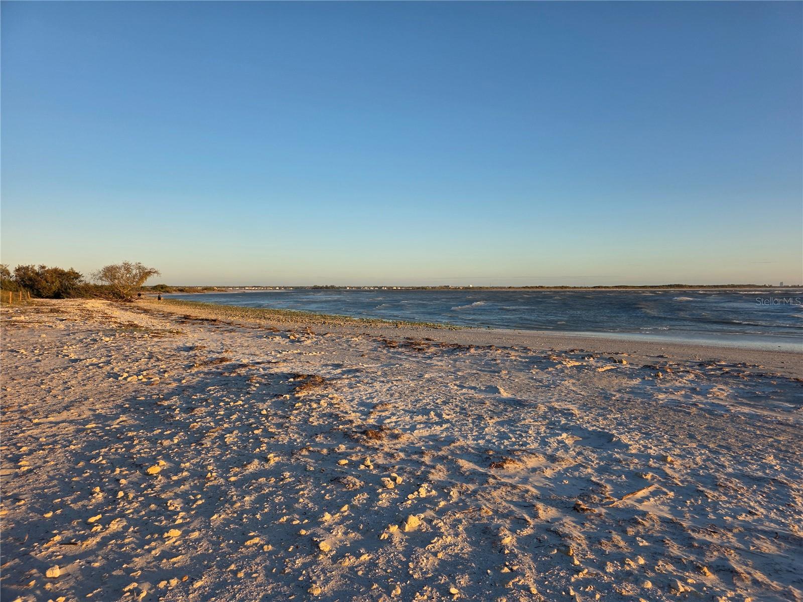 Image 39 of 39 For 2566 Gary Circle 5