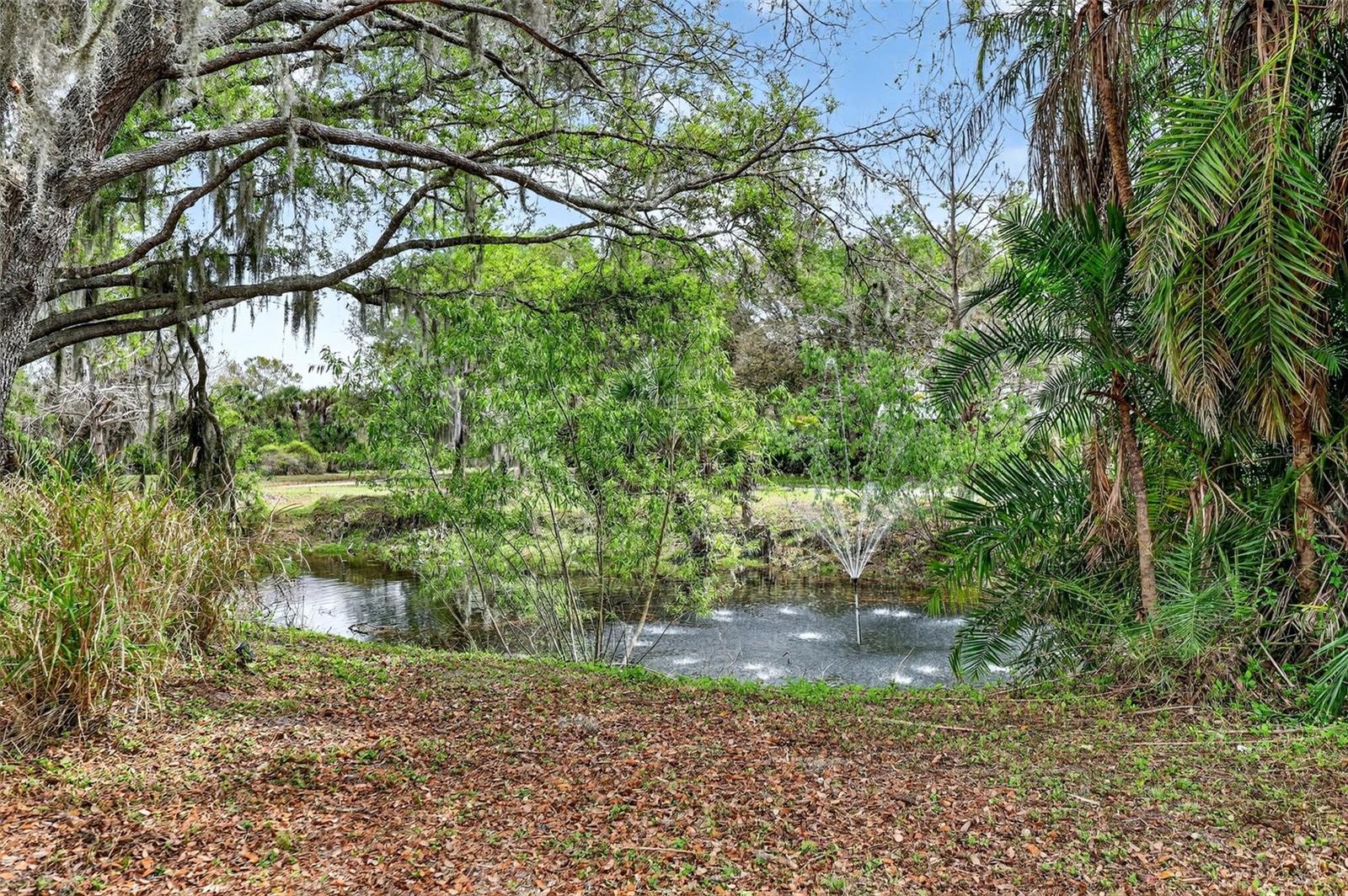Image 60 of 90 For 6888 Myakka Valley Trl
