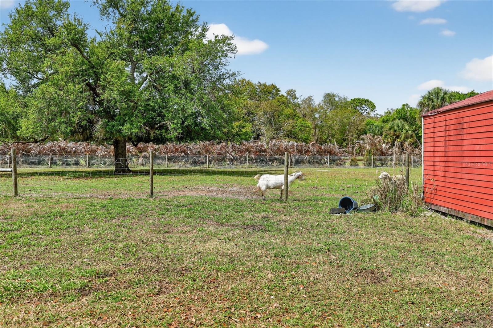 Image 65 of 90 For 6888 Myakka Valley Trl
