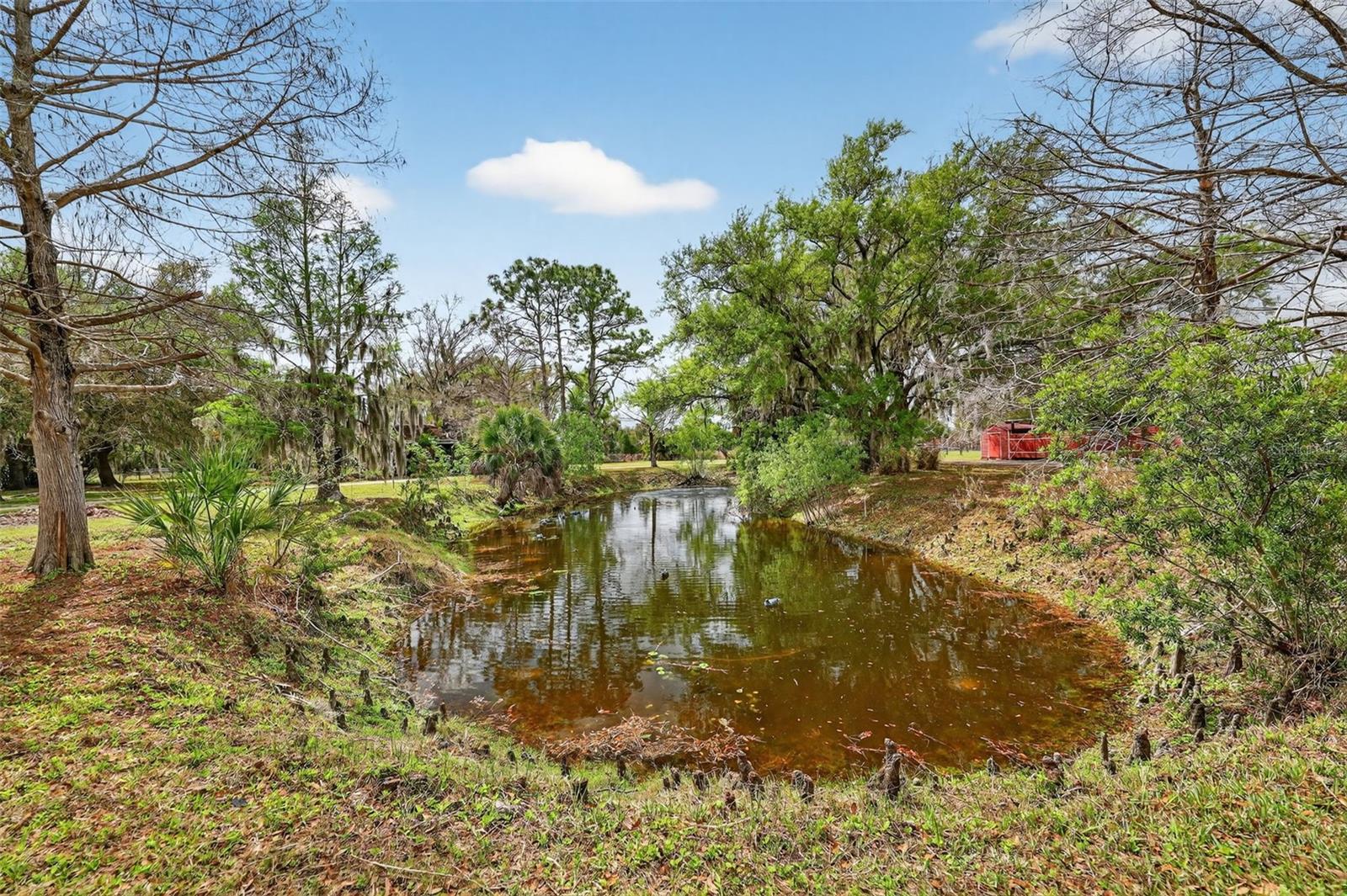 Image 71 of 90 For 6888 Myakka Valley Trl