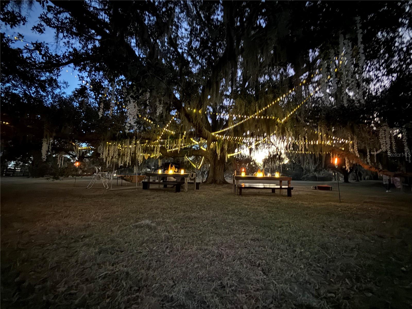 Image 87 of 90 For 6888 Myakka Valley Trl