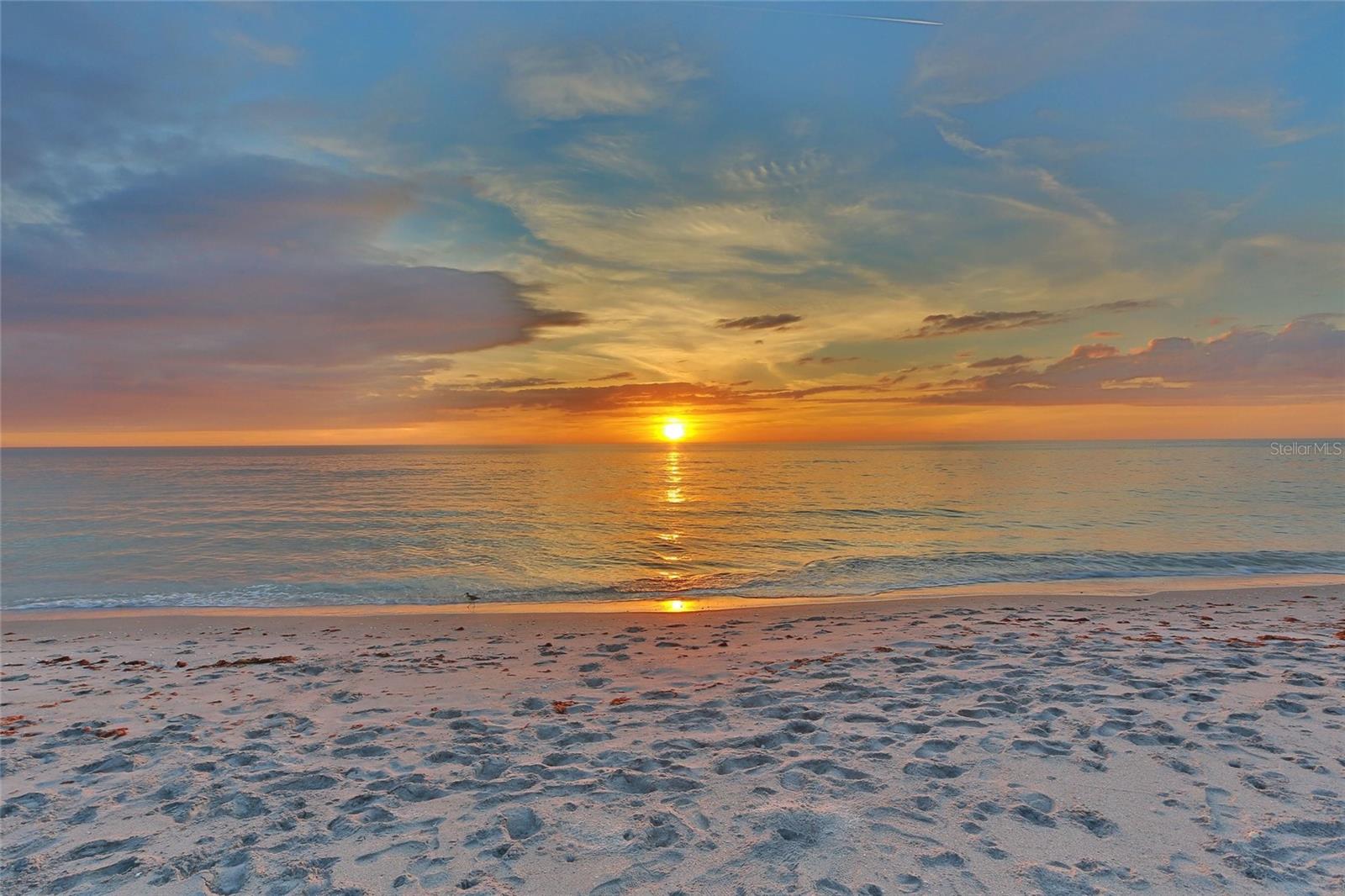 Image 40 of 43 For 3500 El Conquistador Parkway 267