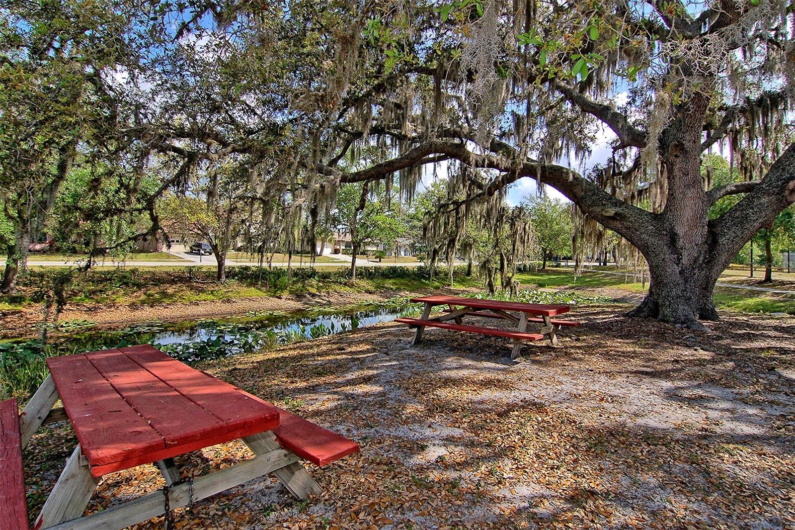 Image 50 of 64 For 5594 Wilde Oak Way