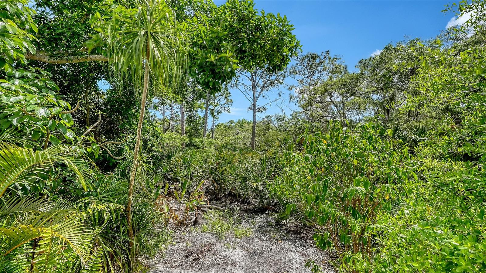 Image 47 of 100 For 61 Bayhead Lane