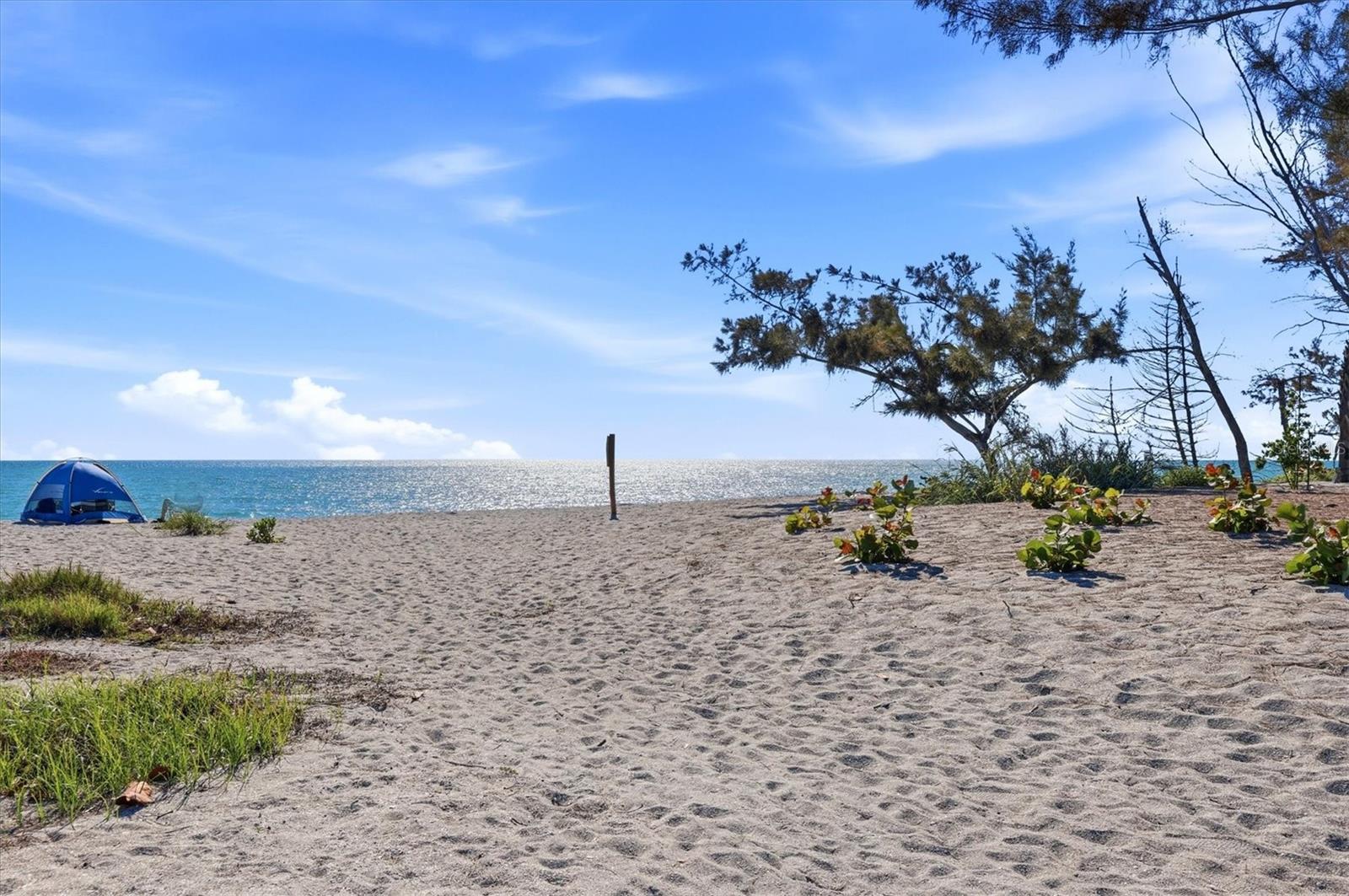 Image 46 of 64 For 1585 Tarpon Center Drive 29