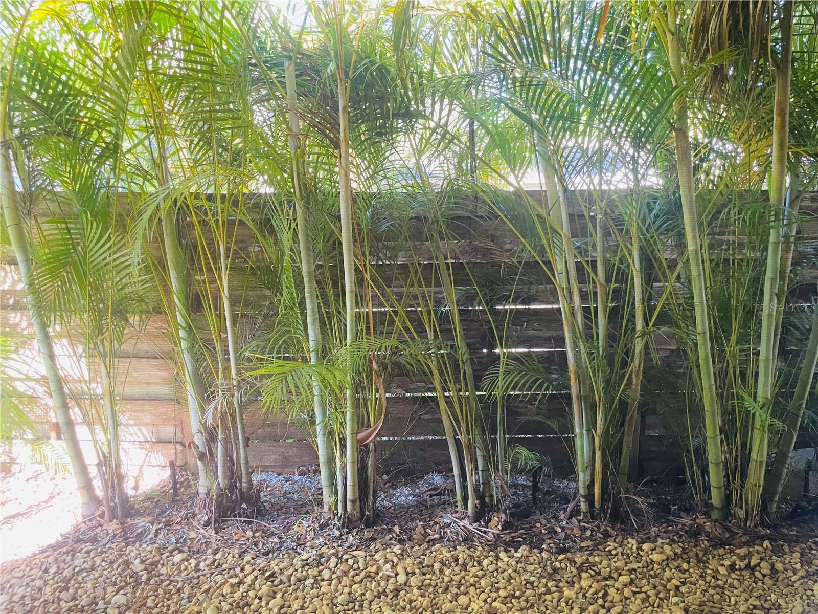 Image 27 of 41 For 1330 Jefferson Avenue