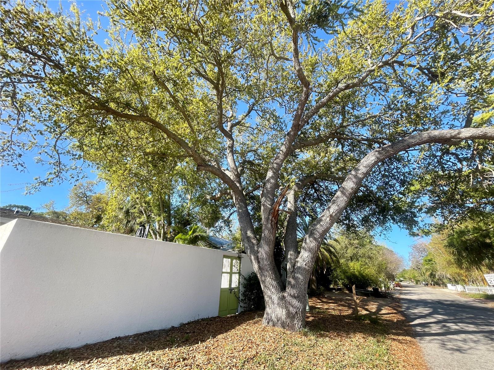 Image 32 of 41 For 1330 Jefferson Avenue