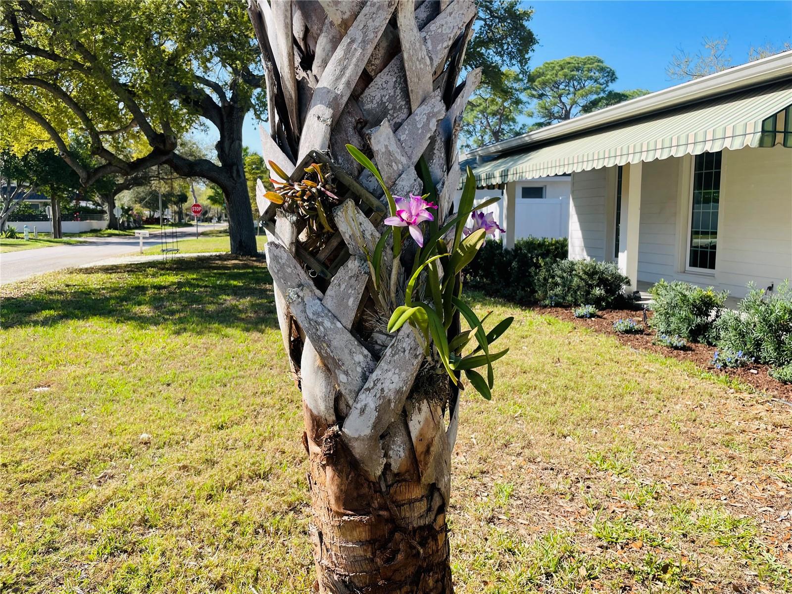 Image 35 of 41 For 1330 Jefferson Avenue