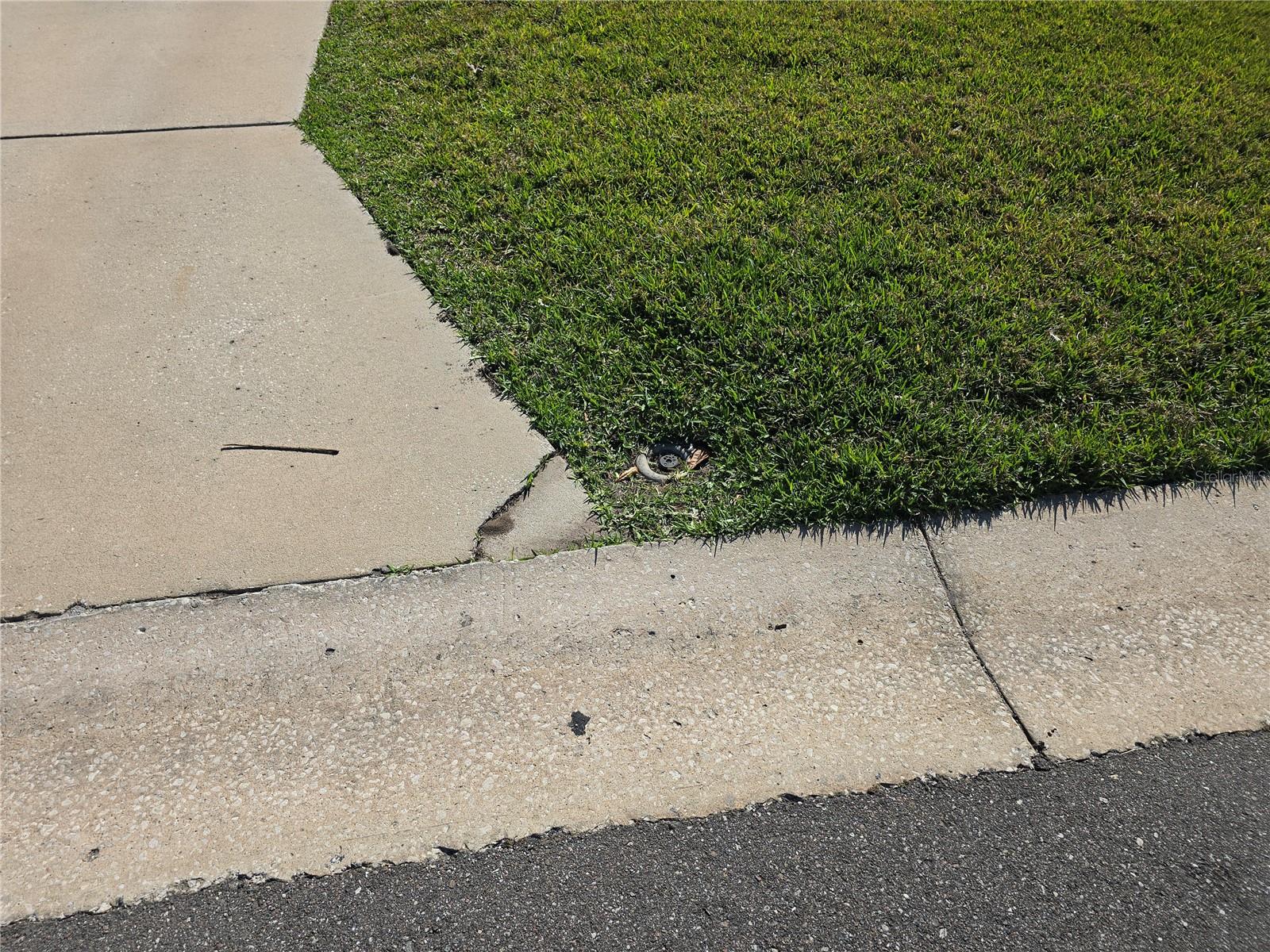 Image 49 of 52 For 4007 Royal Palm Drive