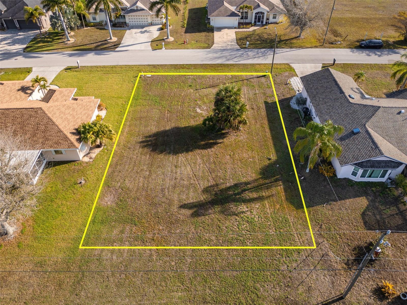 Image 12 of 19 For 7179 Plum Tree