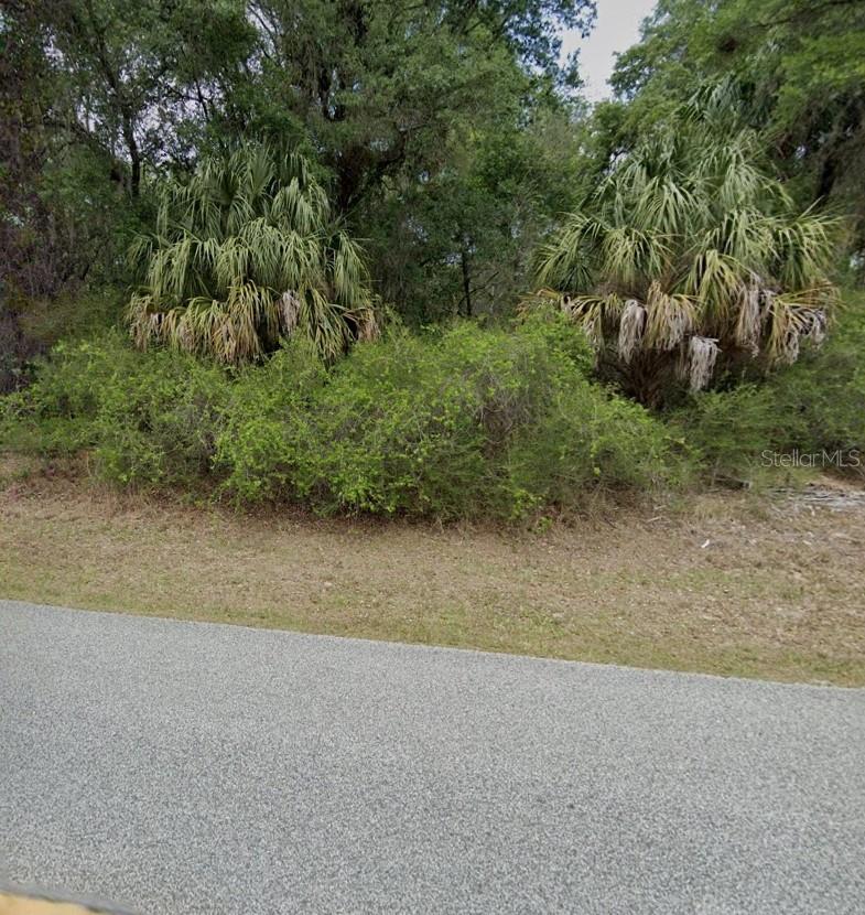 Image 4 of 7 For 12069 Riverwood Drive