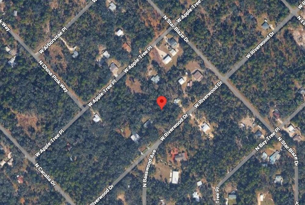 Image 6 of 7 For 12069 Riverwood Drive