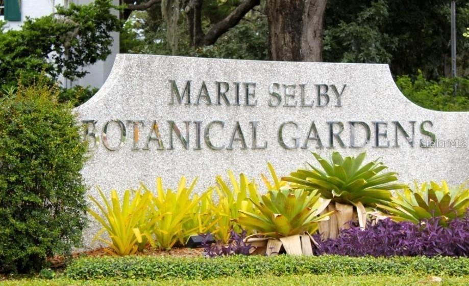 Image 74 of 87 For 8143 36th Street E