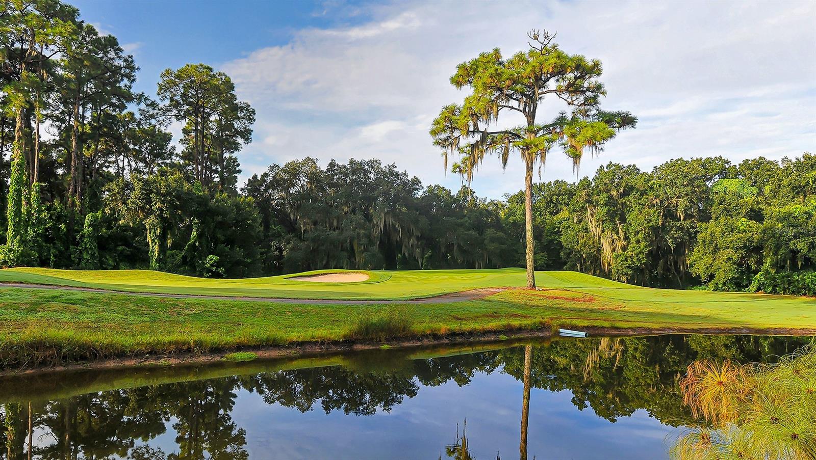 Image 37 of 42 For 4557 Kingsmere  23