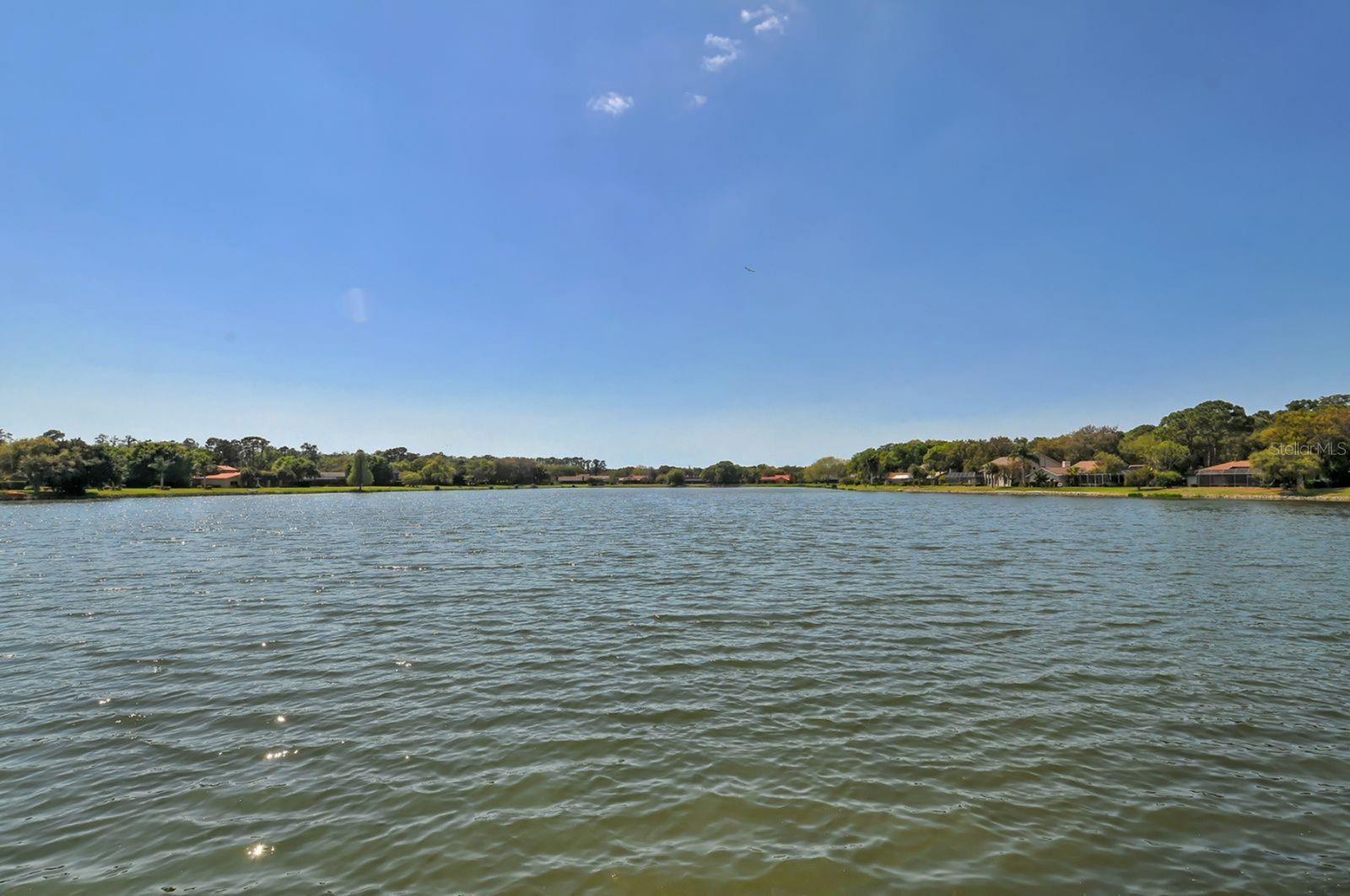 Image 51 of 52 For 4114 Macaulay Lane