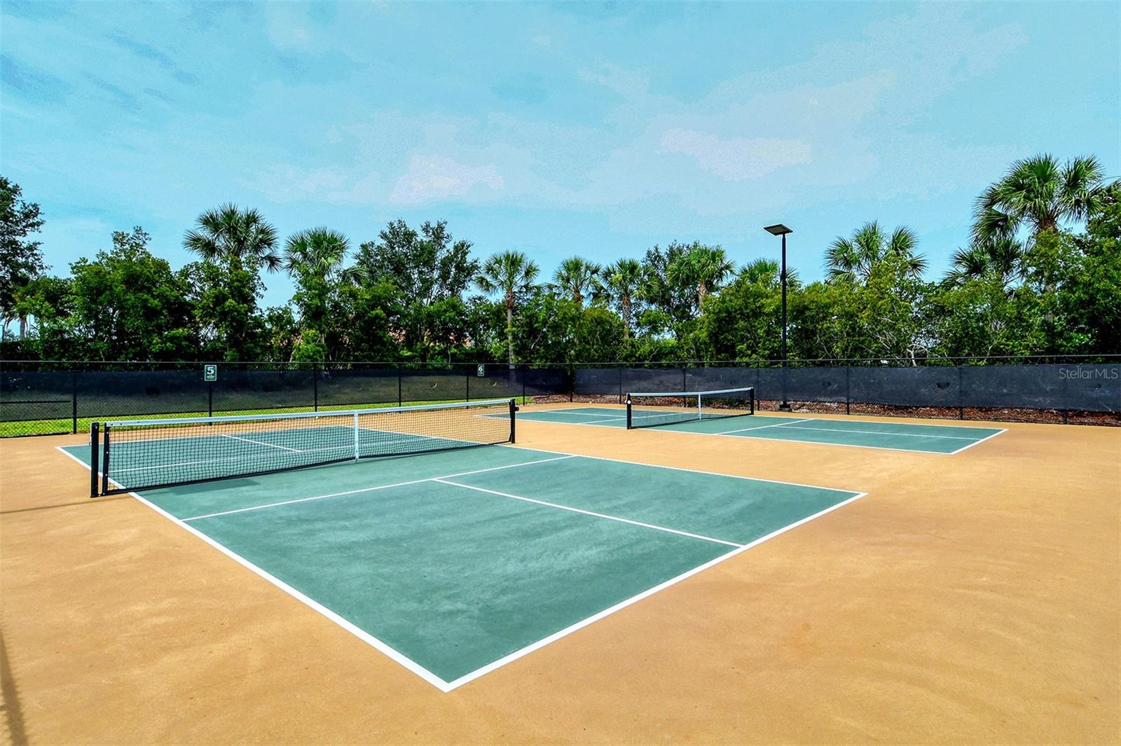 Image 44 of 52 For 13816 Messina Loop 101