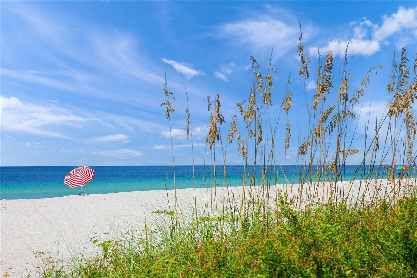 Image 47 of 49 For 1529 Allegheny Drive