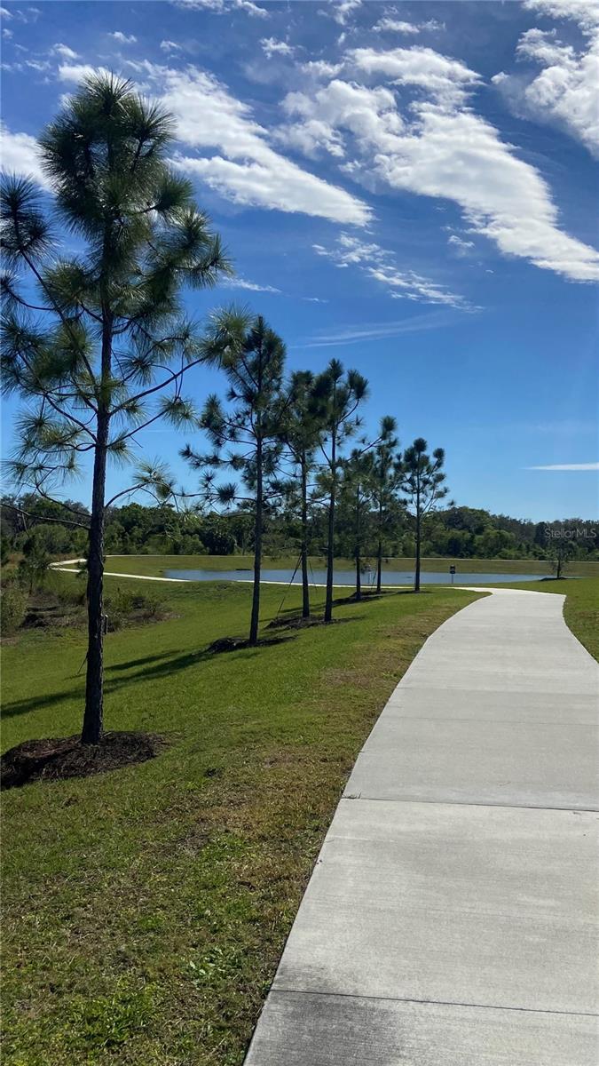 Image 38 of 53 For 13845 Old Creek Court