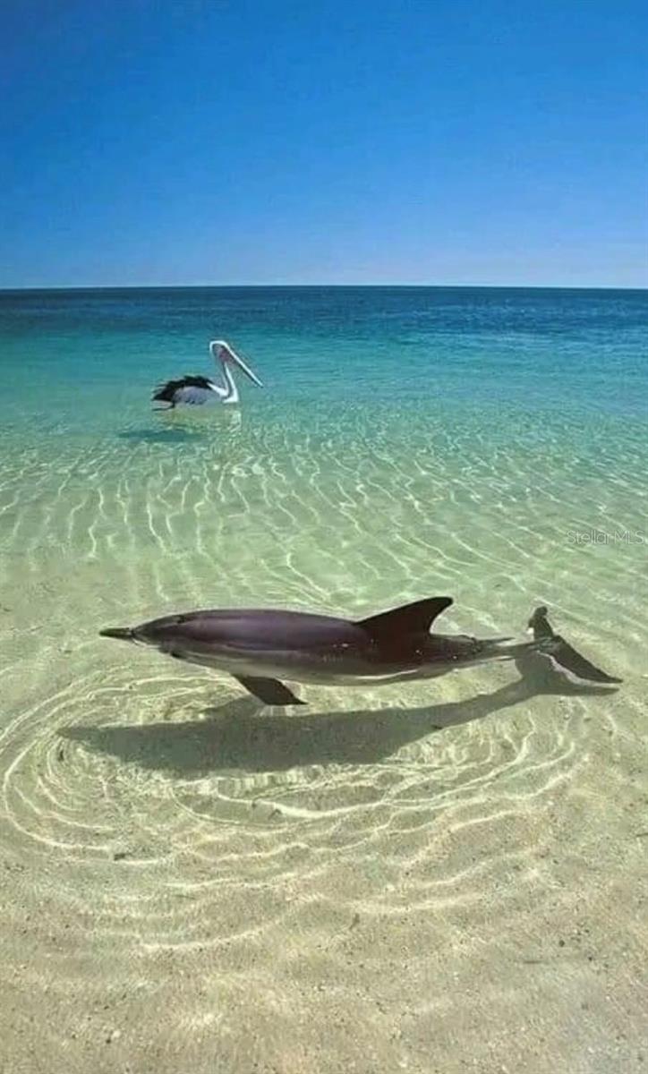 Image 51 of 53 For 13845 Old Creek Court