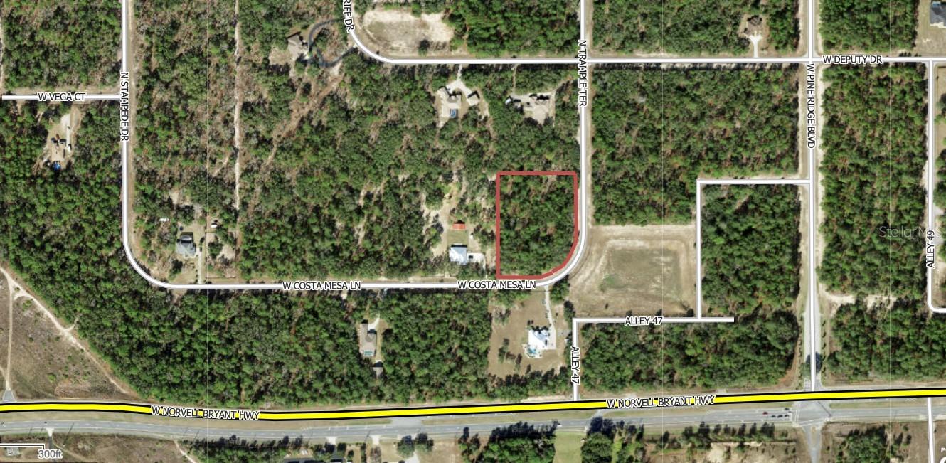 Image 2 of 3 For 2102 Trample Terrace