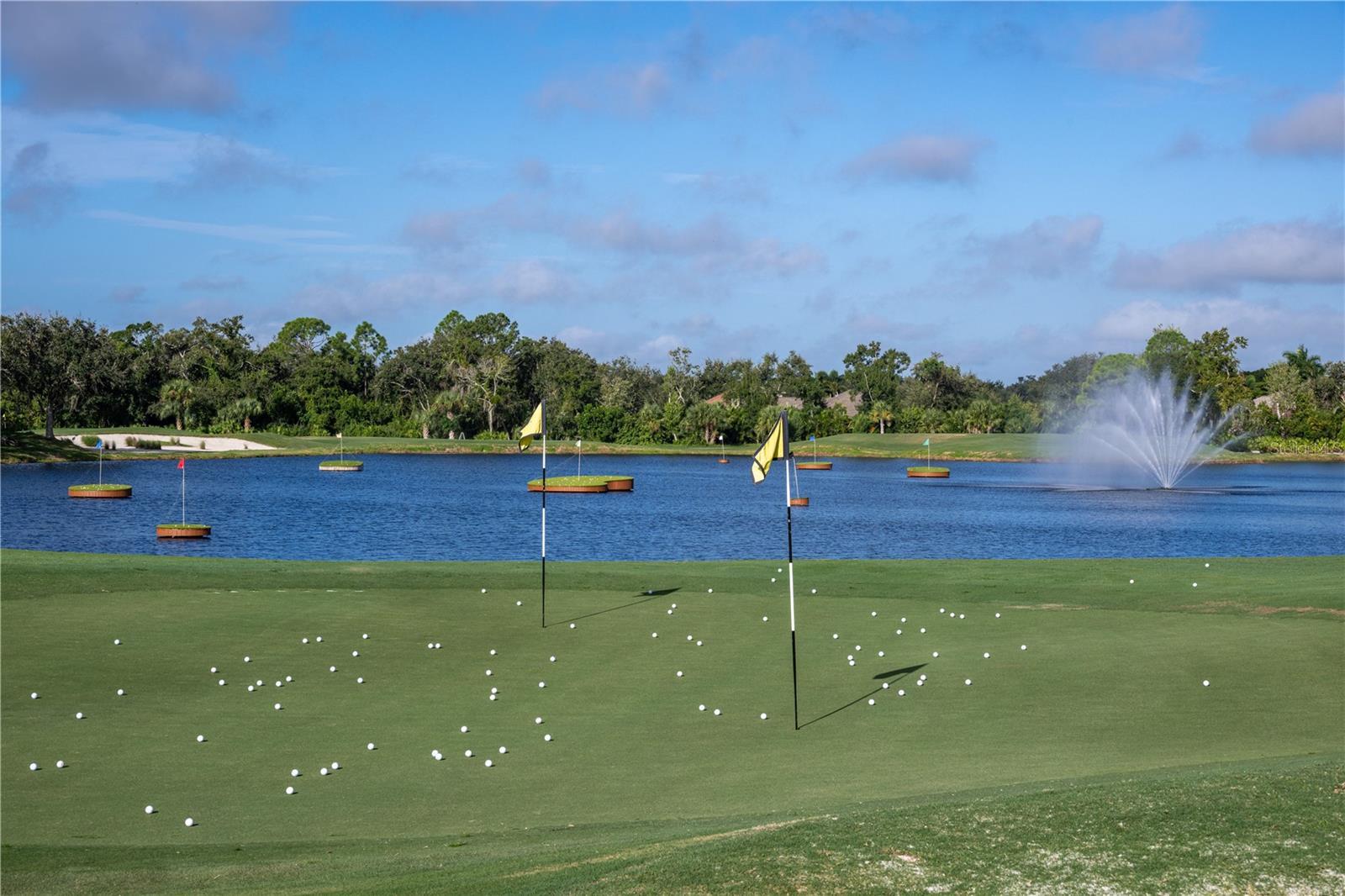 Image 90 of 95 For 5234 Mahogany Run Avenue