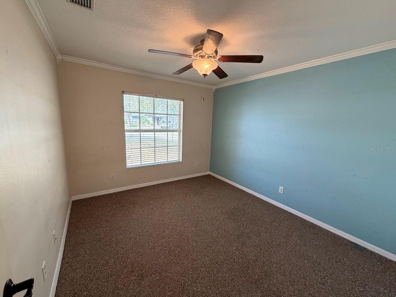 Image 13 of 22 For 6839 34th Avenue E