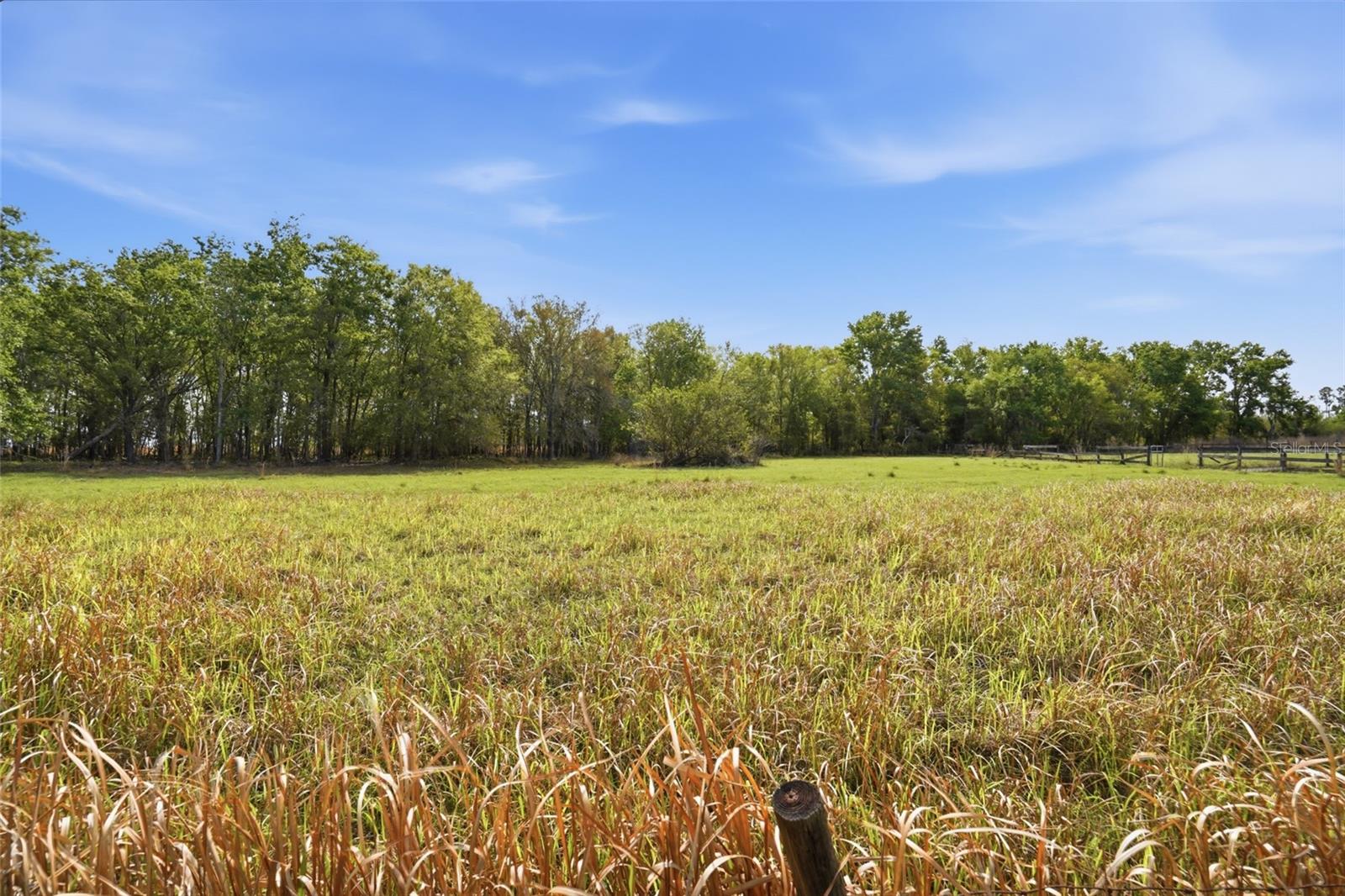 Image 6 of 15 For 32400 Taylor Grade Road