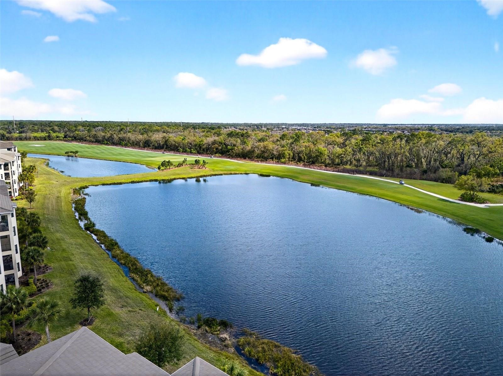 Image 43 of 68 For 17520 Gawthrop Drive 401