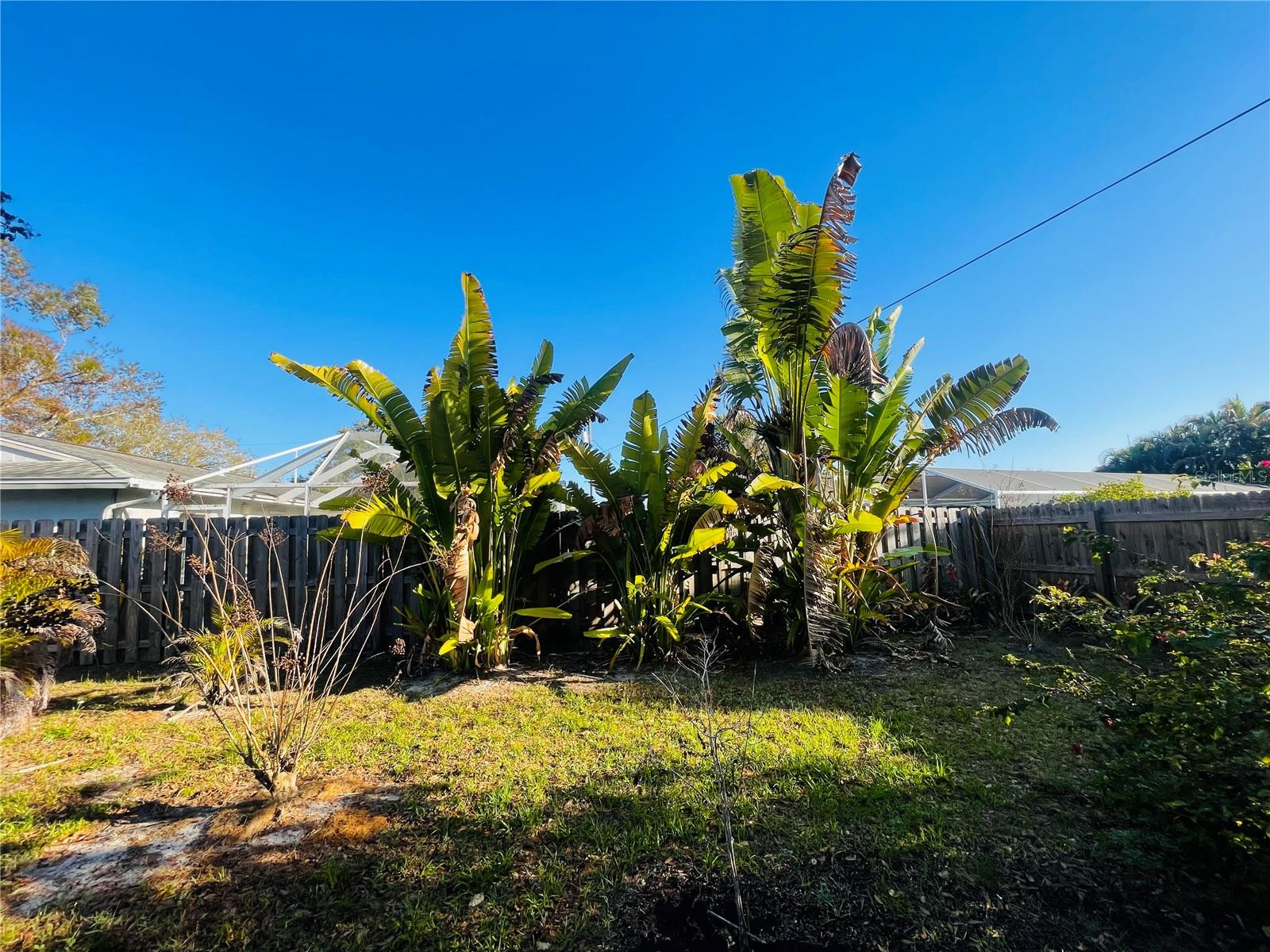 Image 24 of 26 For 5157 Island Date Street