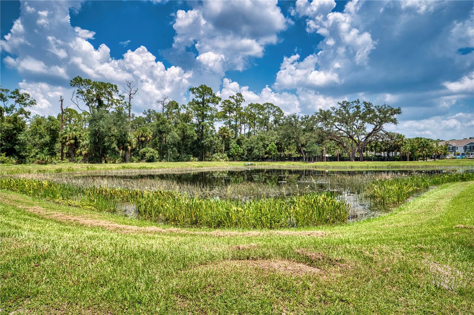 Image 24 of 34 For 6570 Calypso Coral Lane