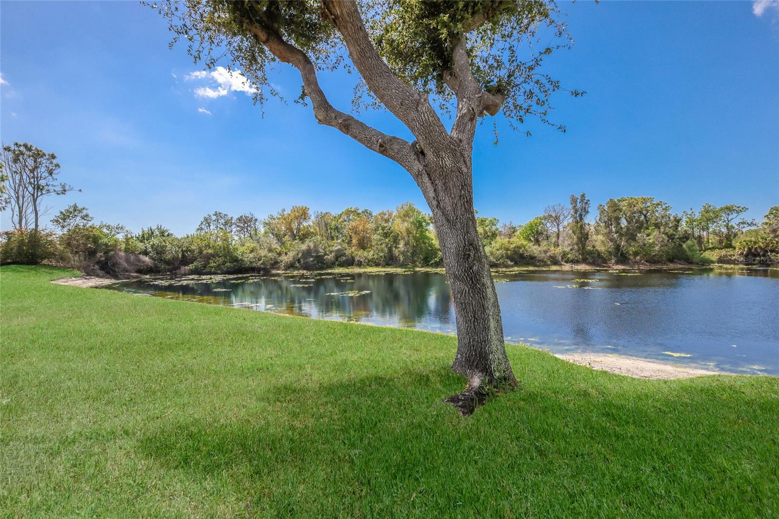 Image 32 of 43 For 8428 Misty Morning Court