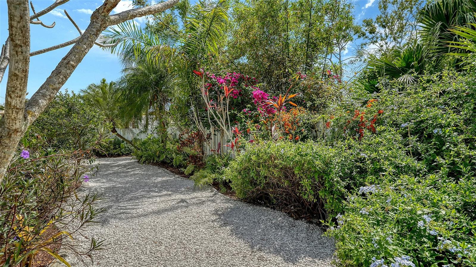 Image 50 of 53 For 1855 Sherwood Street