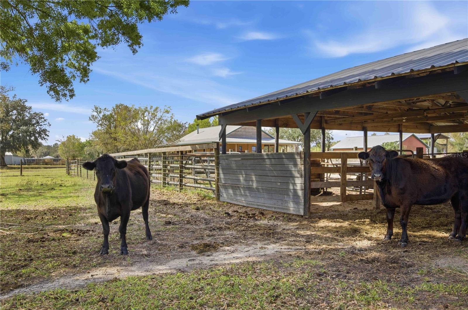 Image 36 of 48 For 16031 Winburn Drive S