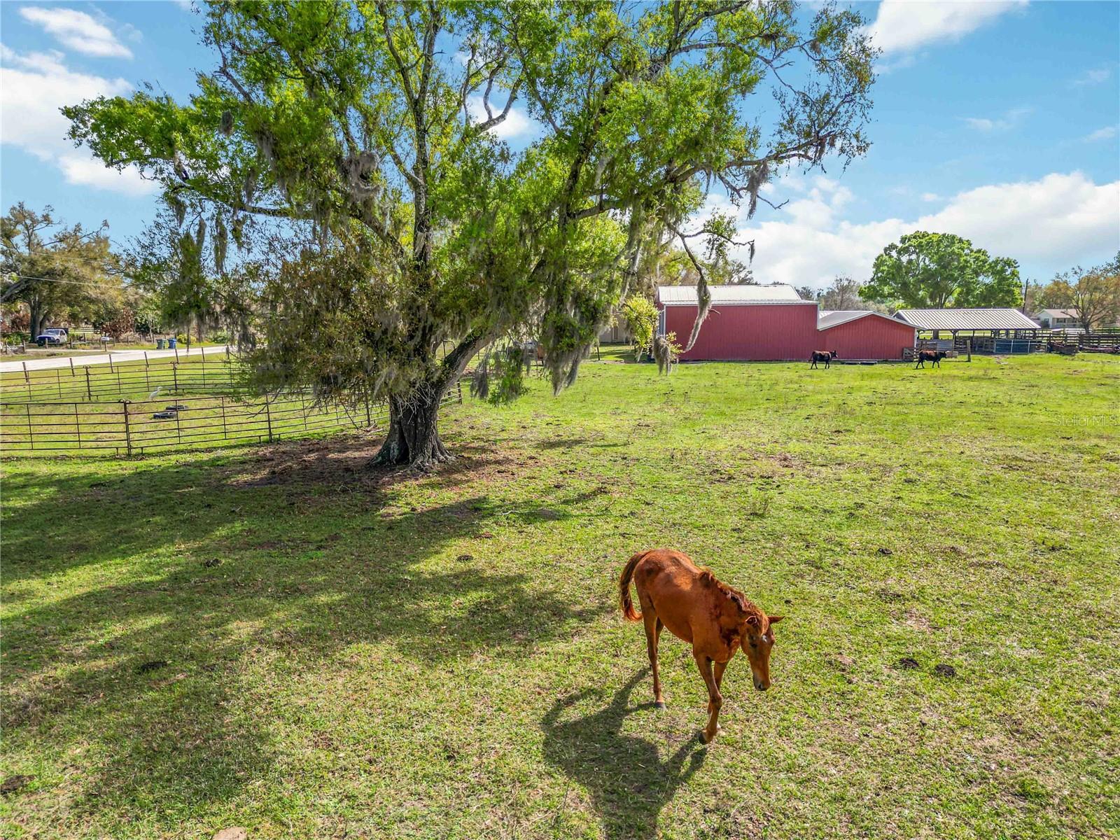 Image 39 of 48 For 16031 Winburn Drive S