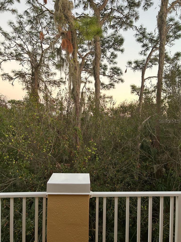 Image 4 of 20 For 8807 White Sage Loop