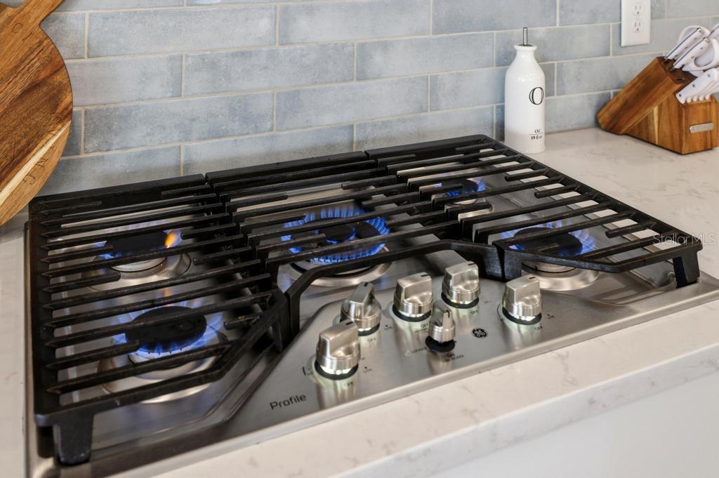 Image 53 of 71 For 17731 Savory Mist Circle